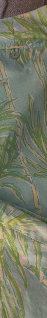 Lilly PULITZER KENLYN PANT  BIG BAM Print Pants Sz 2
